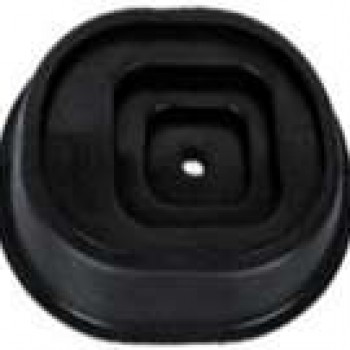 VİTES KÖRÜĞÜ (ORTA)