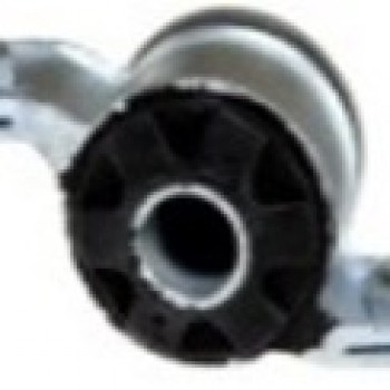 SALINCAK BURCU (SOL)