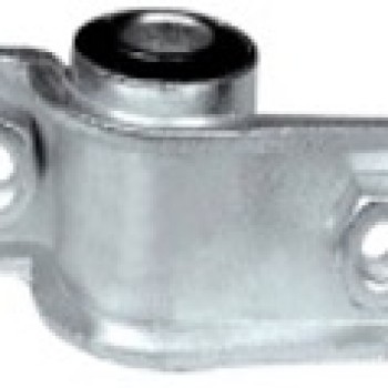 SALINCAK BURCU (KÜÇÜK)