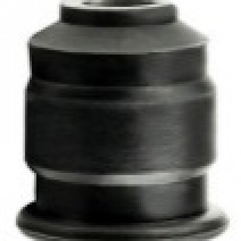 SALINCAK BURCU (KÜÇÜK)