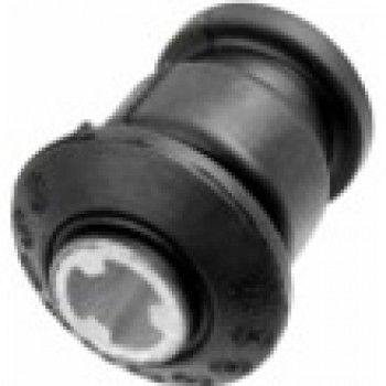 SALINCAK BURCU (KÜÇÜK)