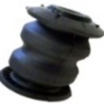 SALINCAK BURCU (ÖN)