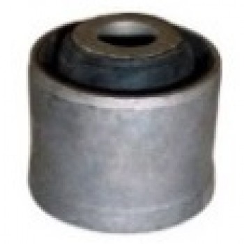 SALINCAK BURCU (ALT)