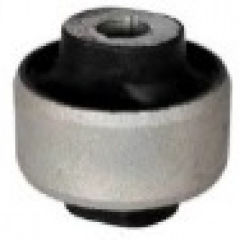 SALINCAK BURCU (BÜYÜK – DIŞ)