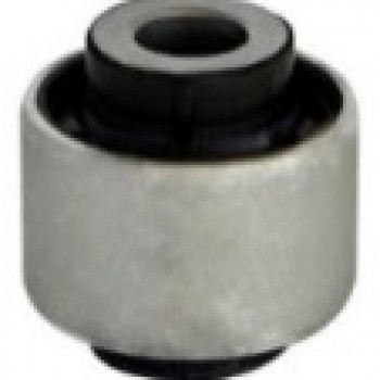 SALINCAK BURCU (KÜÇÜK – İÇ)