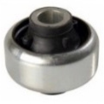 SALINCAK BURCU (ARKA)