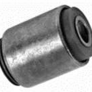 SALINCAK BURCU (ALT)