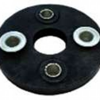 DİREKSİYON KAPLİNİ