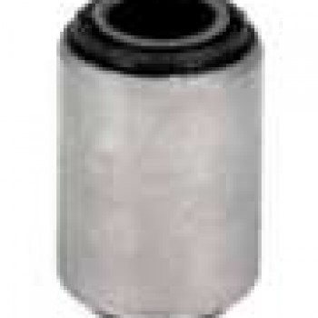 SALINCAK BURCU (ÜST)