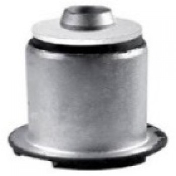 SALINCAK BURCU (ALT PULLU)