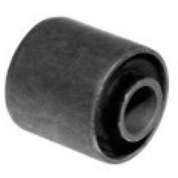 SALINCAK BURCU (ALT)