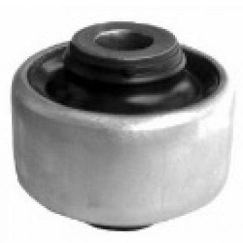 SALINCAK BURCU (ORTA)