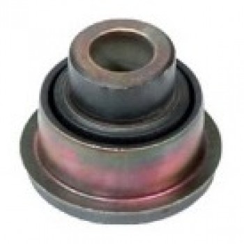 TRAVERS BURCU (ARKA)