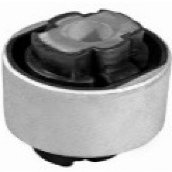 SALINCAK BURCU (DÖKÜM)