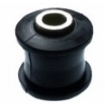 SALINCAK BURCU (ARKA)