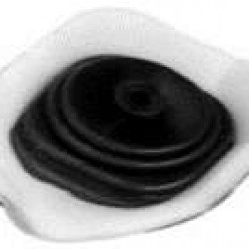 VİTES KÖRÜĞÜ (SÜNGERLİ)