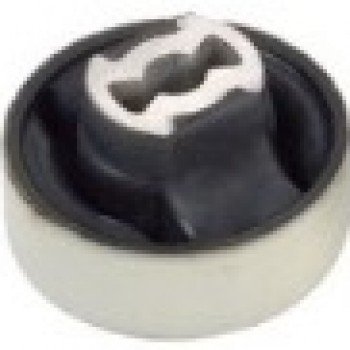 SALINCAK BURCU (BÜYÜK)