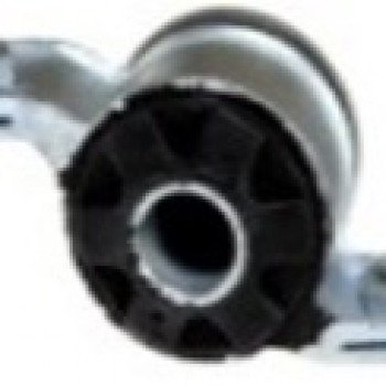 SALINCAK BURCU (SOL)