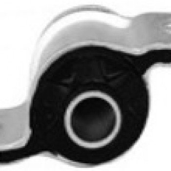 SALINCAK BURCU (SOL)