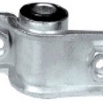 SALINCAK BURCU (KÜÇÜK)