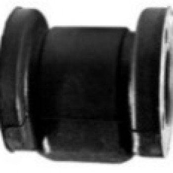 SALINCAK BURCU (BÜYÜK)