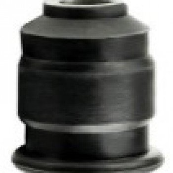 SALINCAK BURCU (KÜÇÜK)