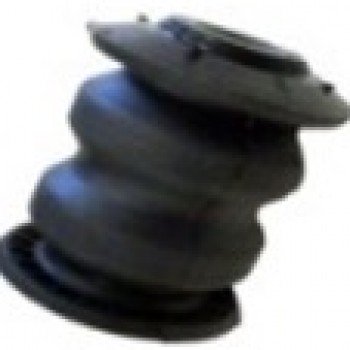 SALINCAK BURCU (ÖN)