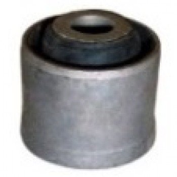 SALINCAK BURCU (ALT)