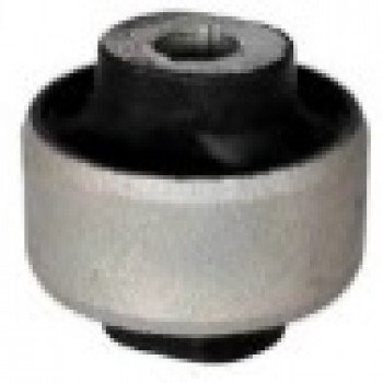 SALINCAK BURCU (BÜYÜK – DIŞ)