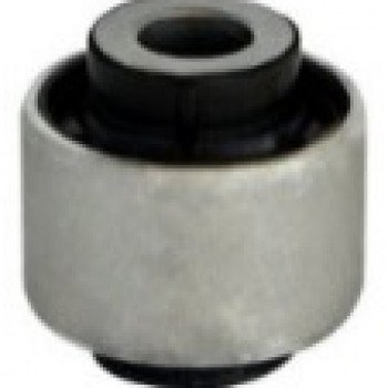 SALINCAK BURCU (KÜÇÜK – İÇ)