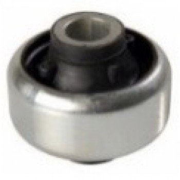 SALINCAK BURCU (ARKA)