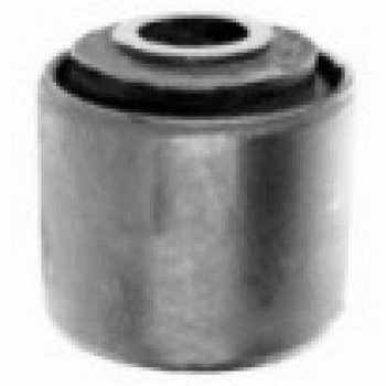 SALINCAK BURCU (ALT)