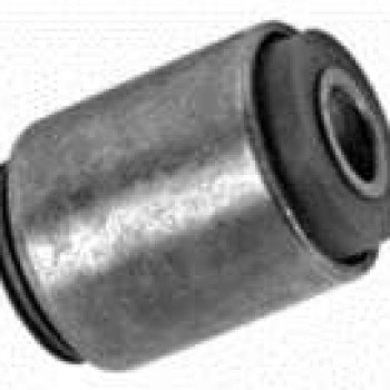 SALINCAK BURCU (ALT)