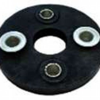 DİREKSİYON KAPLİNİ