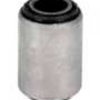 SALINCAK BURCU (ÜST)