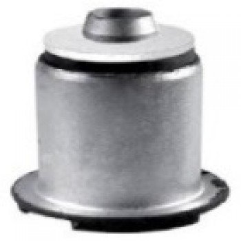 SALINCAK BURCU (ALT PULLU)