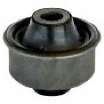 SALINCAK BURCU (ARKA)