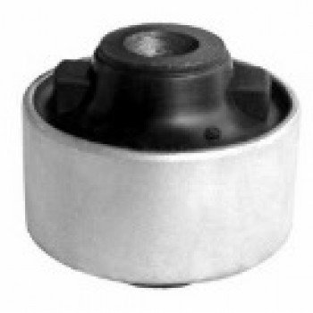 SALINCAK BURCU (ARKA)