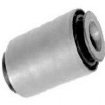 SALINCAK BURCU (ARKA)