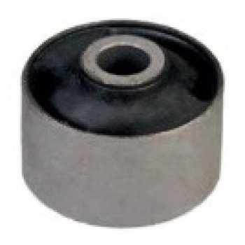 SALINCAK BURCU (ARKA)